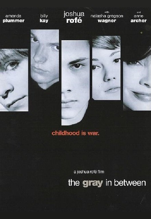 Постер The Gray in Between